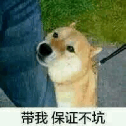 （求带表情包）带我保证不坑表情包