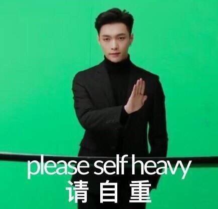 <b>please self heaw 请自重表情包</b>