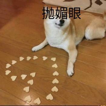 狗子抛媚眼（薯片摆心型）表情包