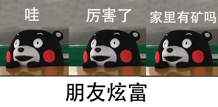（炫富表情包）哇厉害了家里有矿吗表情包