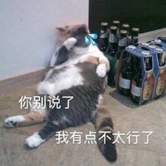 你别说了 我有点不行了（猫咪流泪表情包）表情