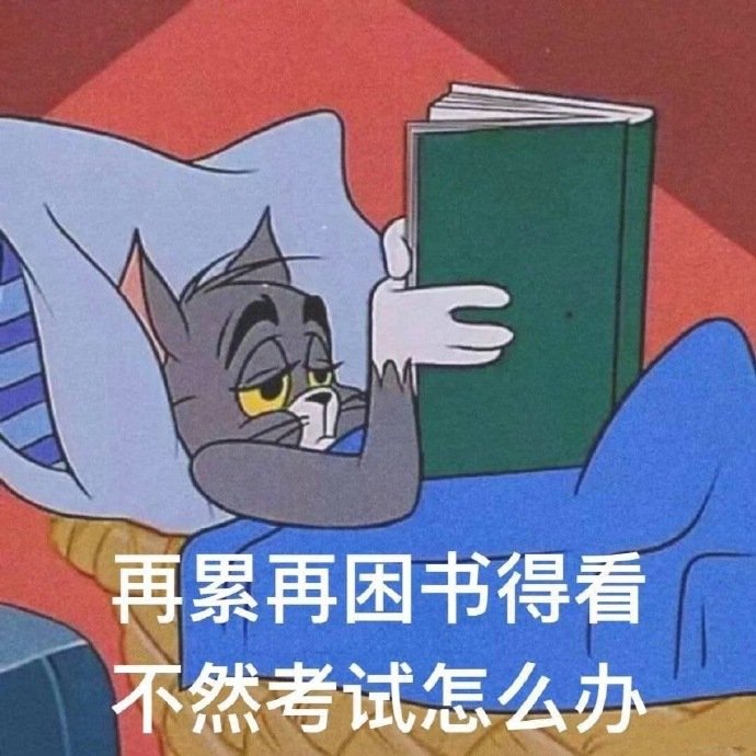 再累再困书得看，不然考试怎么办（猫和老鼠汤