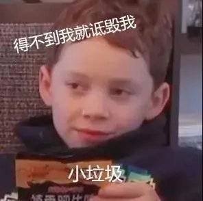 得不到我就诋毁我 小辣鸡表情包