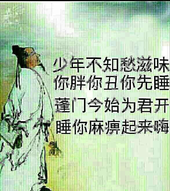 少年不知愁滋味你胖你丑你先睡蓬门今始为君开