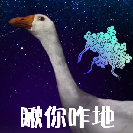 鹅鹅鹅表情包