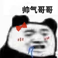 帅气哥哥（熊猫头表情包）表情包