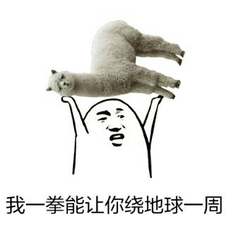 我一拳能让你绕地球一周表情包