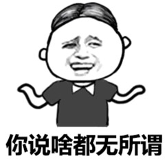 你说啥都无所谓表情包
