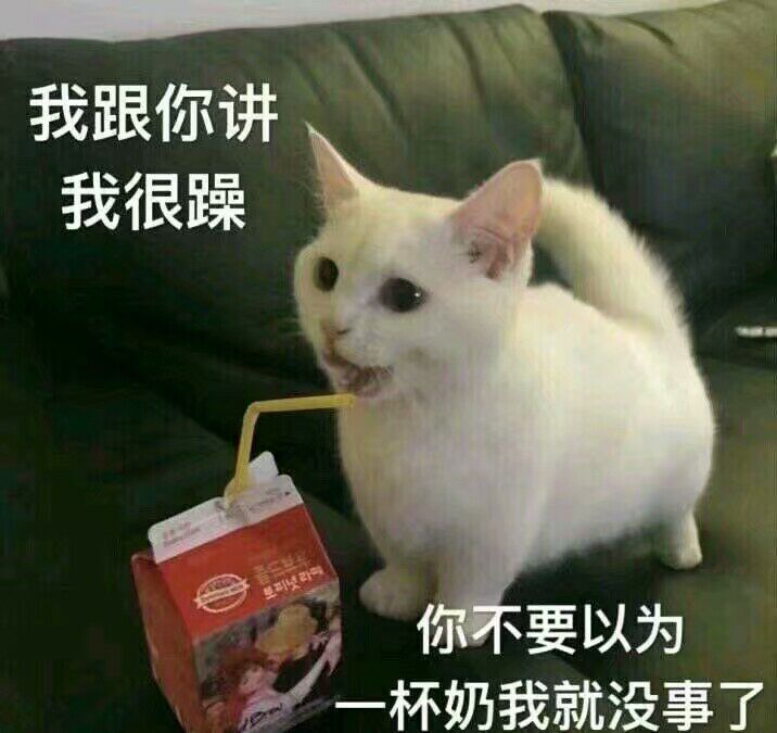 我跟你讲我很躁，你不要以为杯奶我就没事了表
