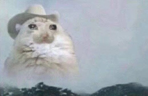 <b>流泪猫猫头表情包</b>