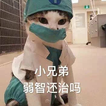 小兄弟 弱智还治吗表情包