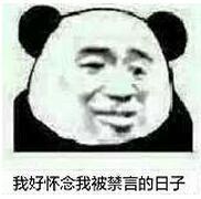 我好怀念，我被禁言的日子表情包