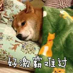 （狗狗表情包）好激霸难过表情包