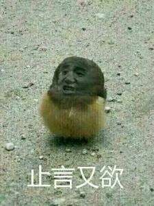 小鸡崽表情包 止言又欲表情包