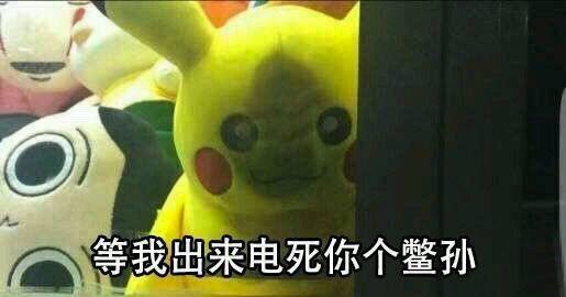 等我出来电死你个鳖孙表情包
