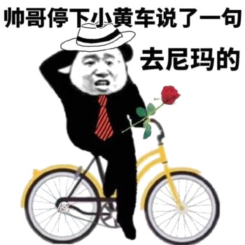 帅哥说了一句去尼玛的（熊猫头表情包）表情包